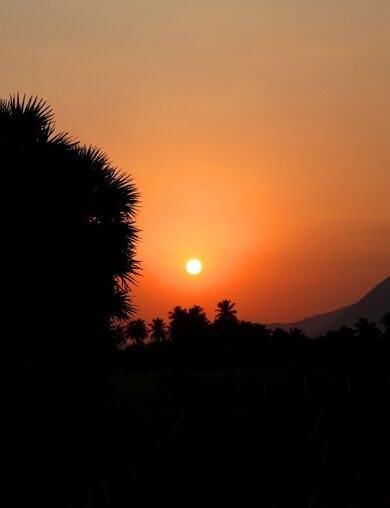 The sunsets in Palm Meadows with trees and hills are a pleasure