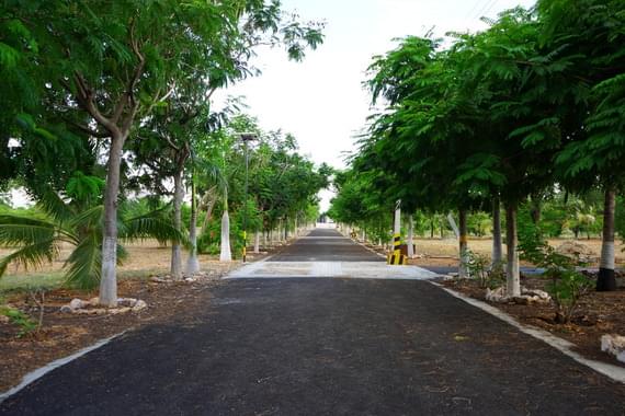 Palm Meadows Buy a plot of land in Coimbatore